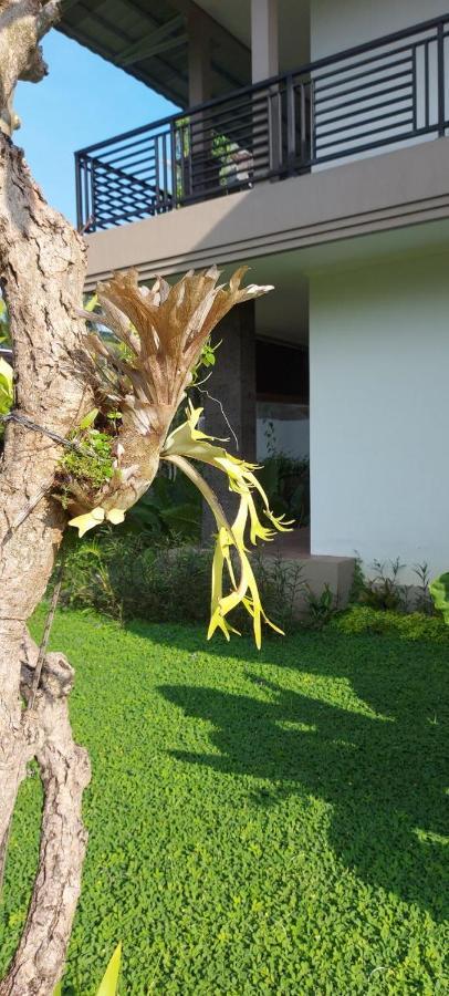 Indraprastha Cottage Ubud Eksteriør bilde